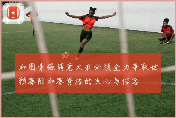 加图索强调意大利必须全力争取世预赛附加赛资格的决心与信念