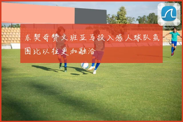 东契奇赞文班亚马投入感人球队氛围比以往更加融洽