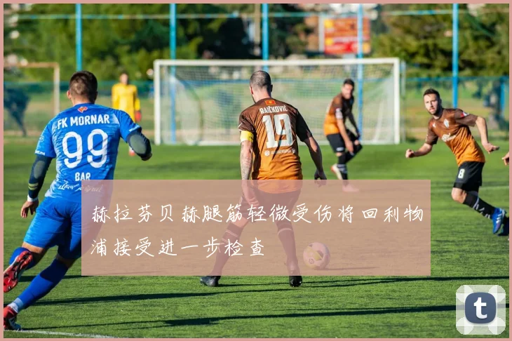 赫拉芬贝赫腿筋轻微受伤将回利物浦接受进一步检查