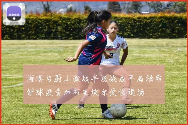 海港与蔚山激战半场战成平局杨希铲球染黄加布里埃尔受伤退场