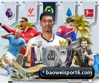 宝威体育 APP - BOWWAYSPORTS